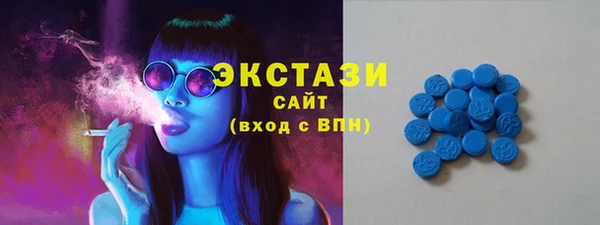 дмт Бородино