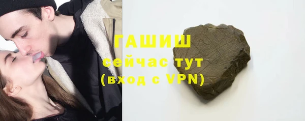 дмт Бородино