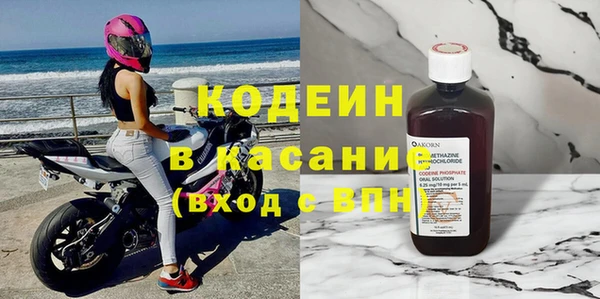 дмт Бородино