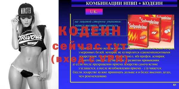 дмт Бородино