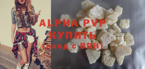 дмт Бородино