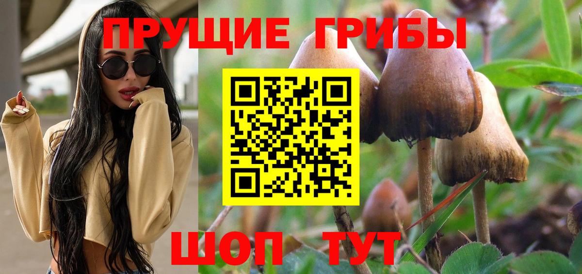 Галлюциногенные грибы мицелий Великий Устюг